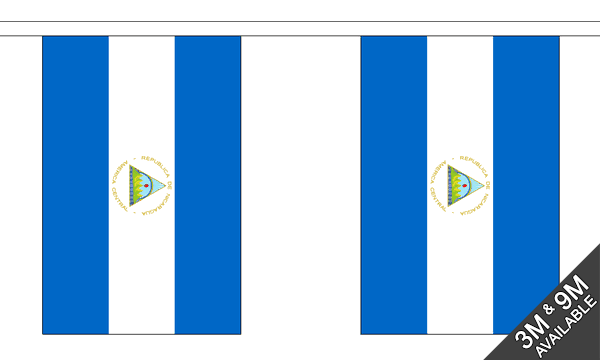 Nicaragua Bunting